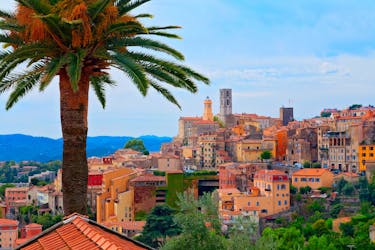Excursão privada ao campo da costa oeste de Provence saindo de Nice